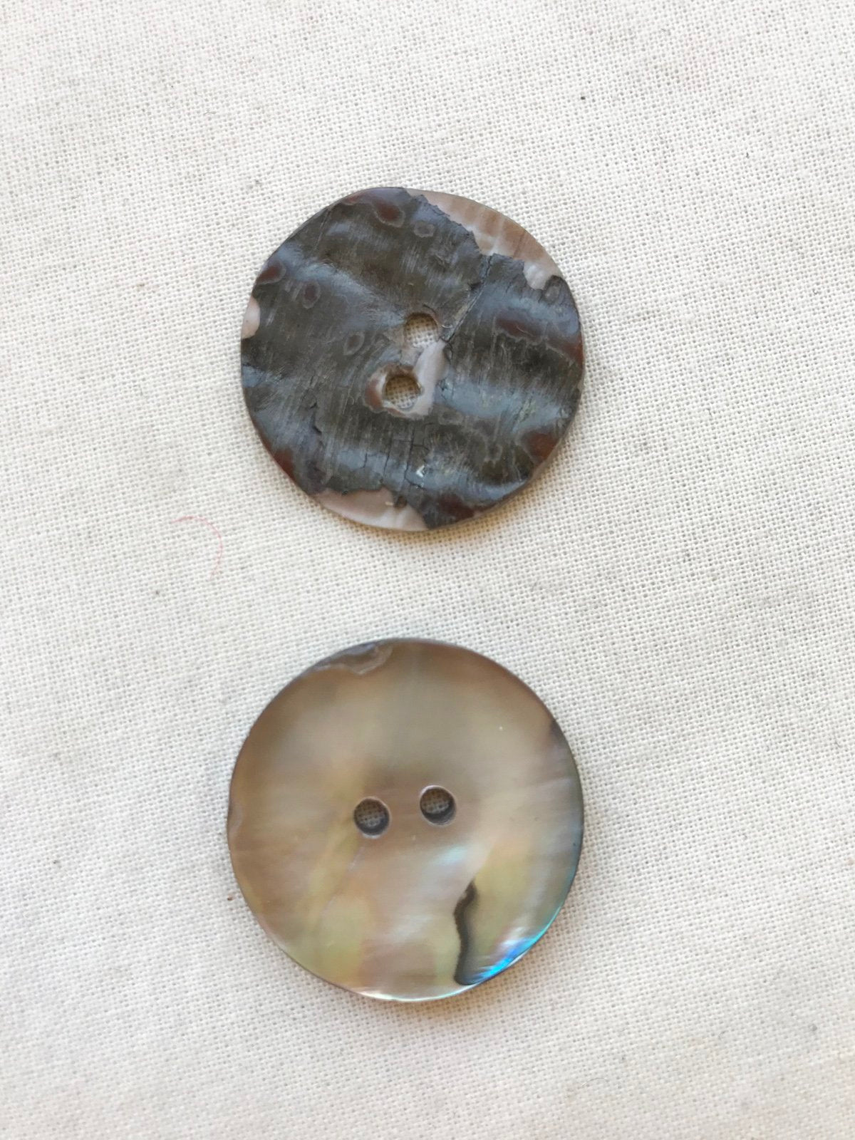 1" Shell Buttons Sold By The Pair - L'Etoffe Fabrics LLC