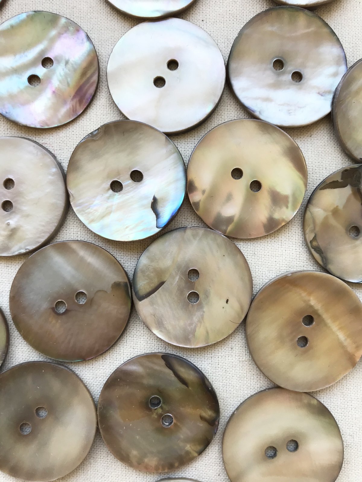 1" Shell Buttons Sold By The Pair - L'Etoffe Fabrics LLC