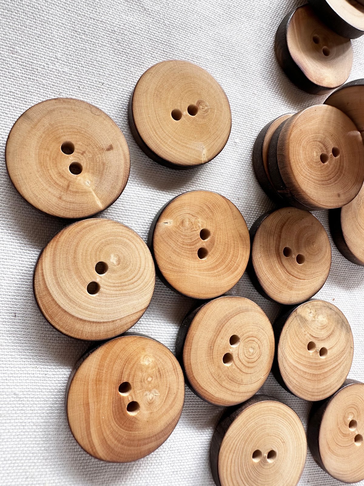 7/8" Sliced Log Jacket Coat Buttons per 6 ct - L'Etoffe Fabrics LLC