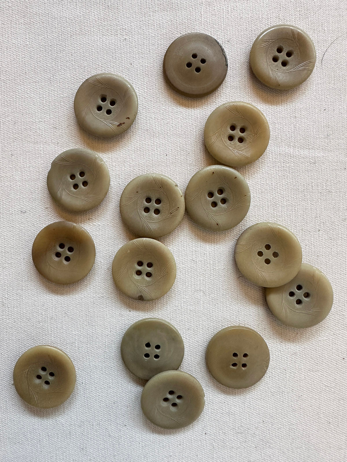 Vintage Italian 1920's Corozo Nut Buttons - 112