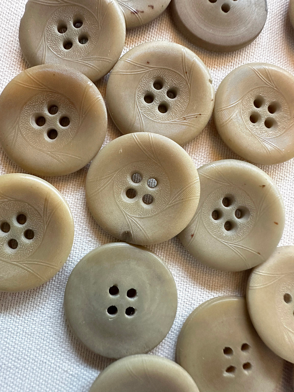 Vintage Italian 1920's Corozo Nut Buttons - 112