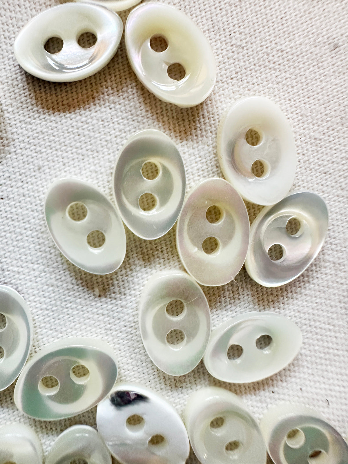 Vintage Italian Shell Oval Blouse Shirt Buttons 11mm