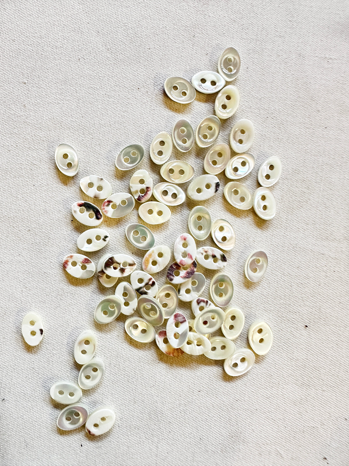Vintage Italian Shell Oval Blouse Shirt Buttons 11mm