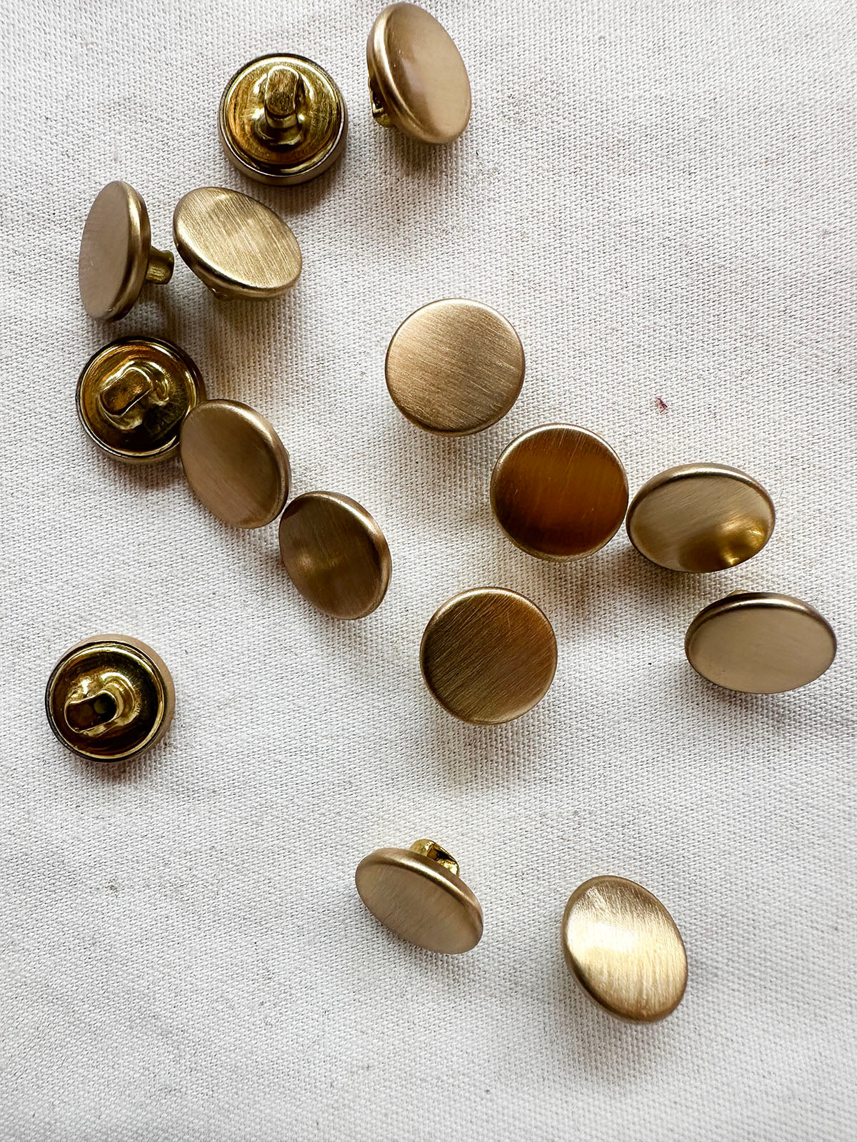 Brushed Brass Shank Back Buttons Per Dozen - L'Etoffe Fabrics LLC