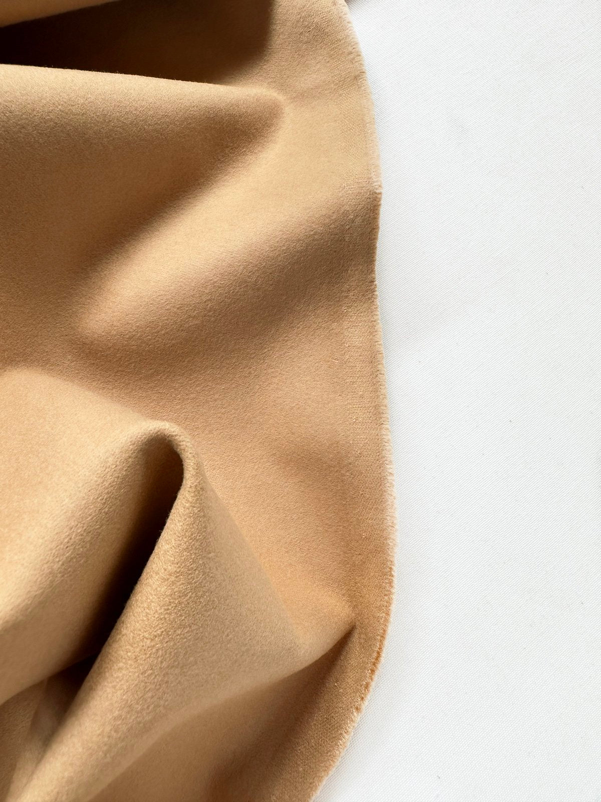 Camel Cotton Moleskin UK Mill - L'Etoffe Fabrics LLC