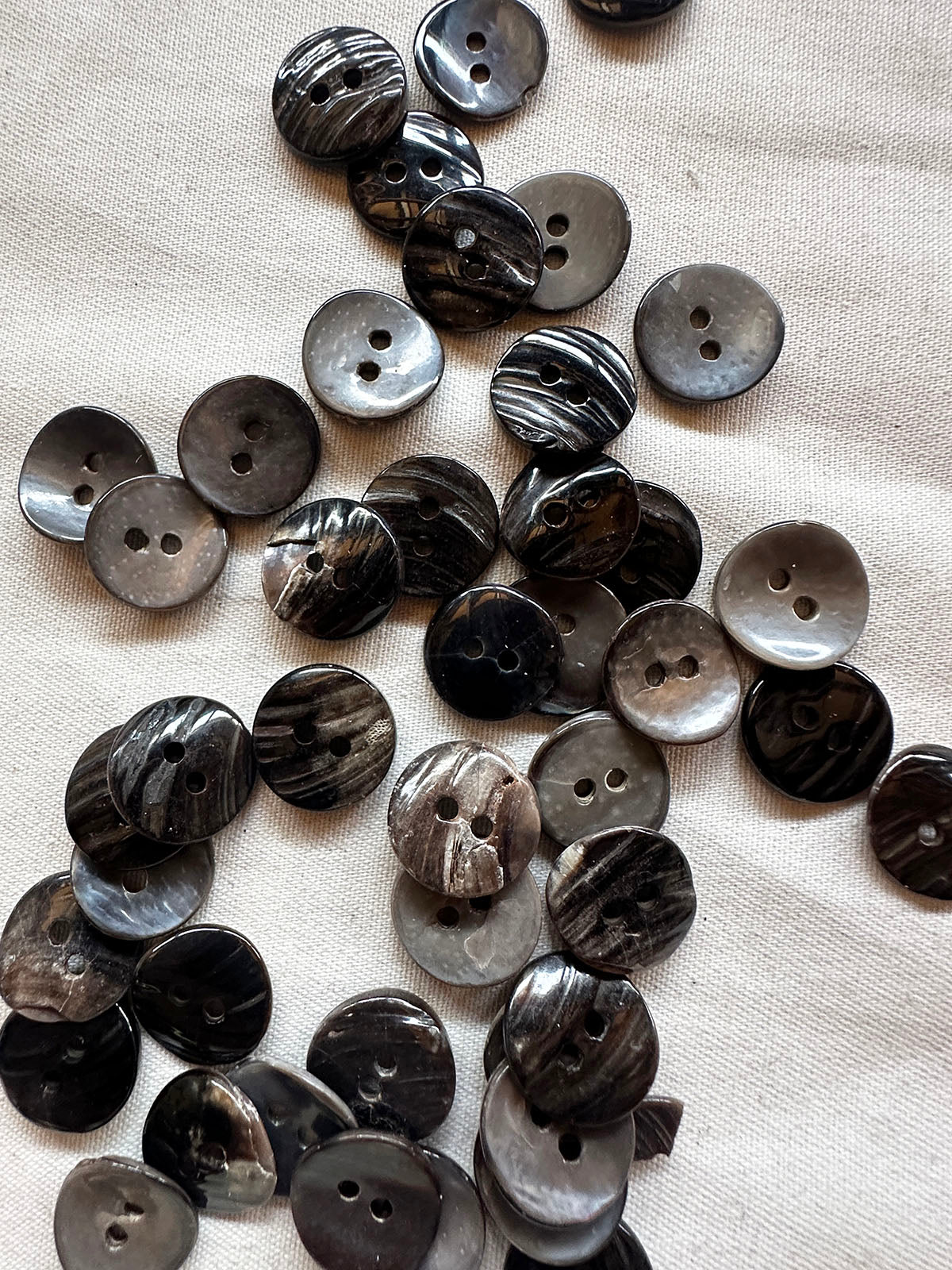 Dark Shell Shirt Buttons Per Dozen - L'Etoffe Fabrics LLC