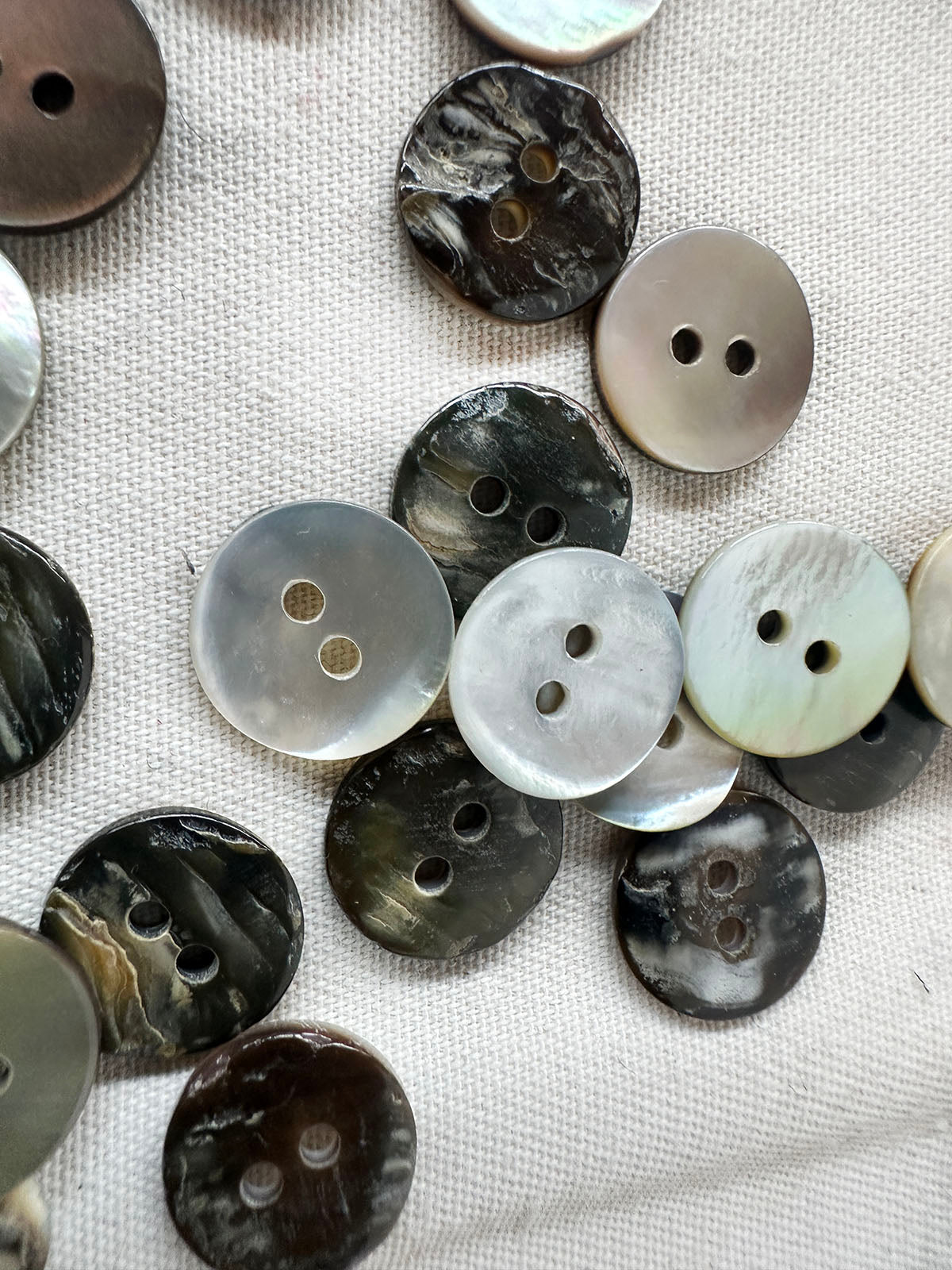 Shell Shirt Buttons Per Dozen - L'Etoffe Fabrics LLC