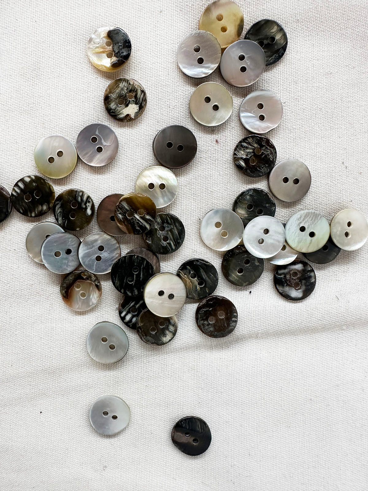 Shell Shirt Buttons Per Dozen - L'Etoffe Fabrics LLC