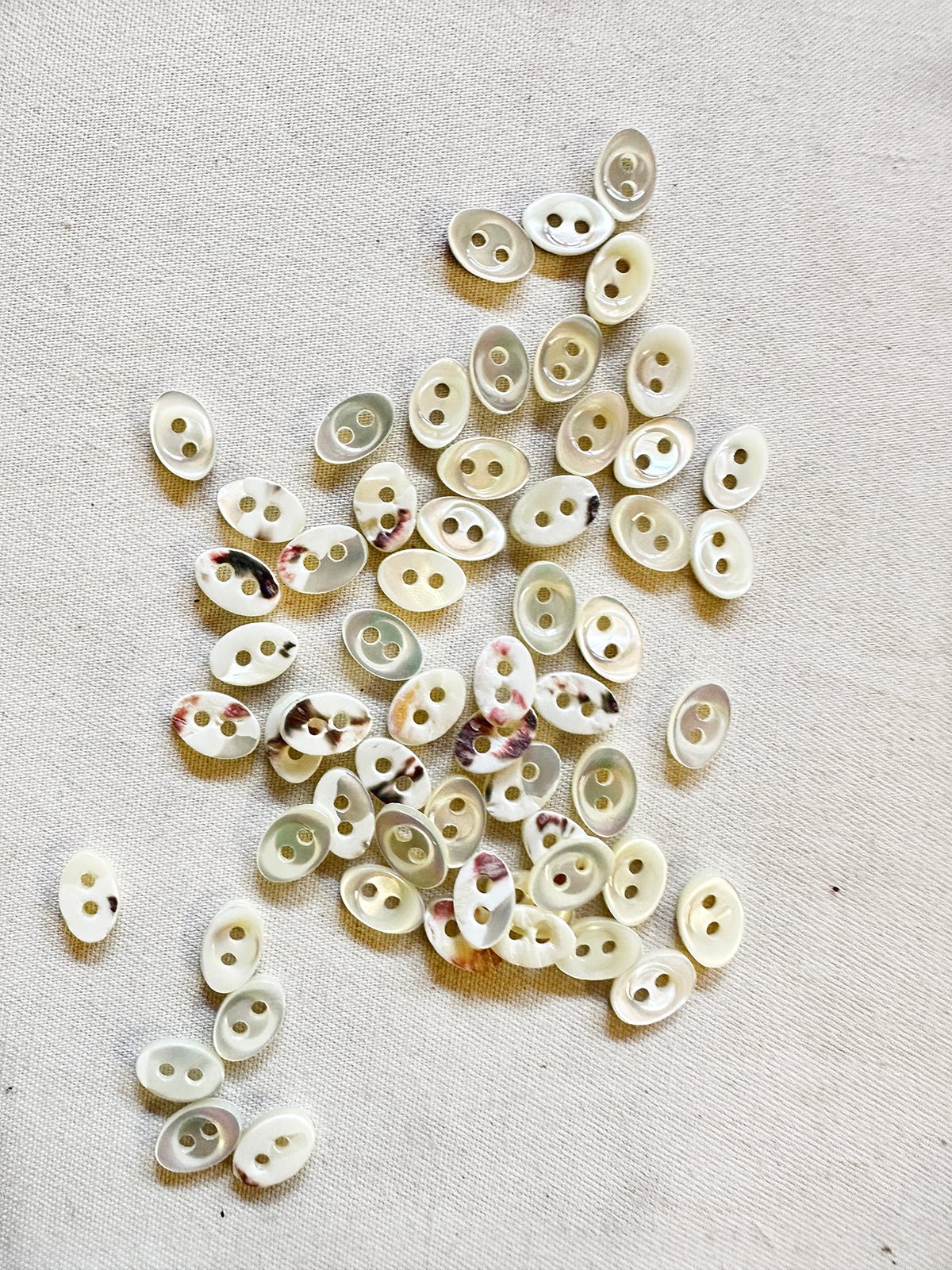 Vintage Italian Shell Oval Blouse Shirt Buttons 11mm - L'Etoffe Fabrics LLC